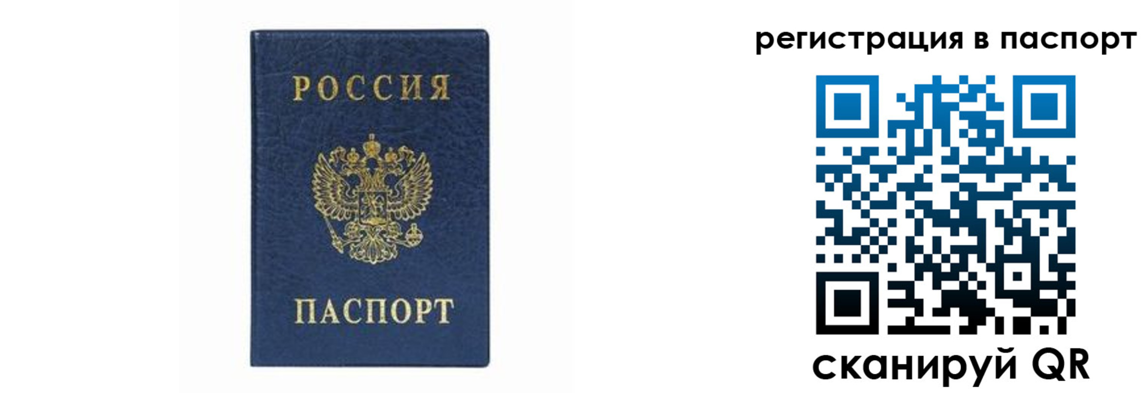 форма 3 в Пугачёве